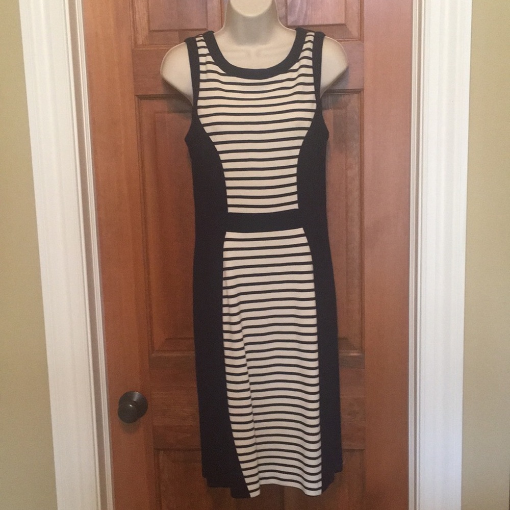 Yoana Baraschi stretch navy/ivory striped dress